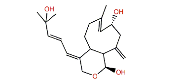 Xenialactol C